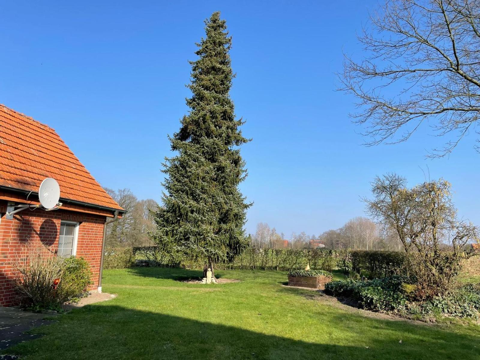 Ferienwohnung Kiebitzheide Beelen エクステリア 写真